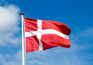 The Danish Flag